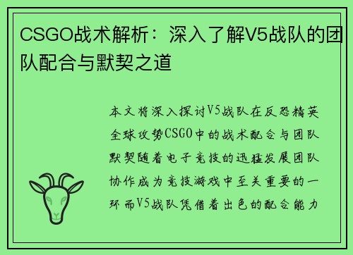 CSGO战术解析：深入了解V5战队的团队配合与默契之道